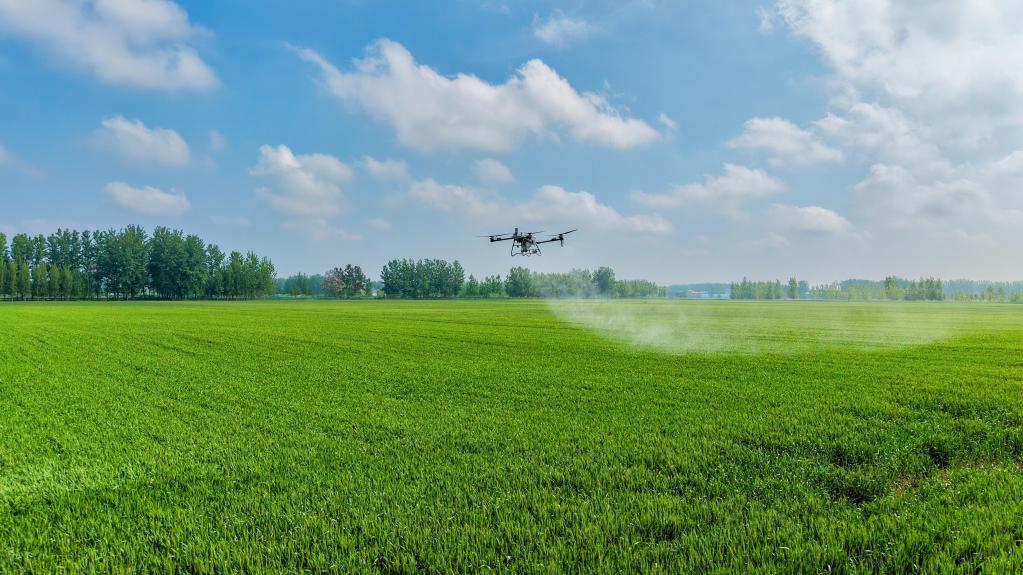 安徽亳州：一喷三防 守护夏粮