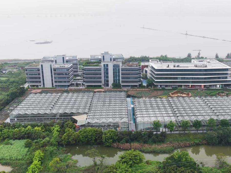 浙江温州：电力护航智慧农业 助力春耕跑出“加速度”