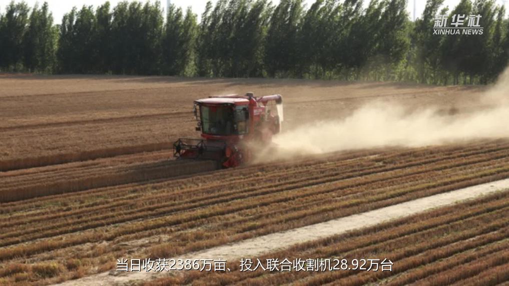 当前我国夏粮收获进度超三成