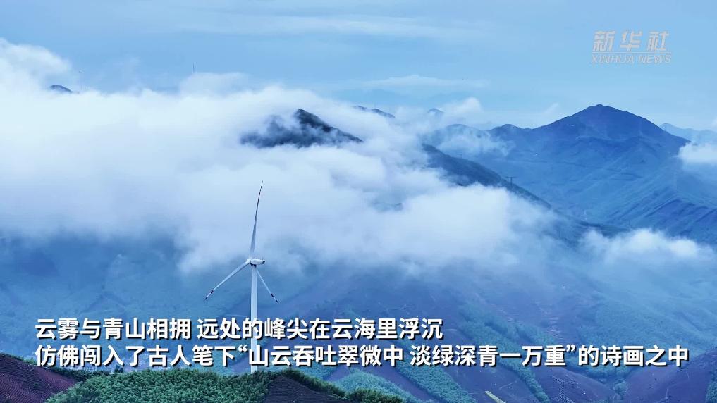 浙江长兴：晨雾揽青山 云漫千重翠