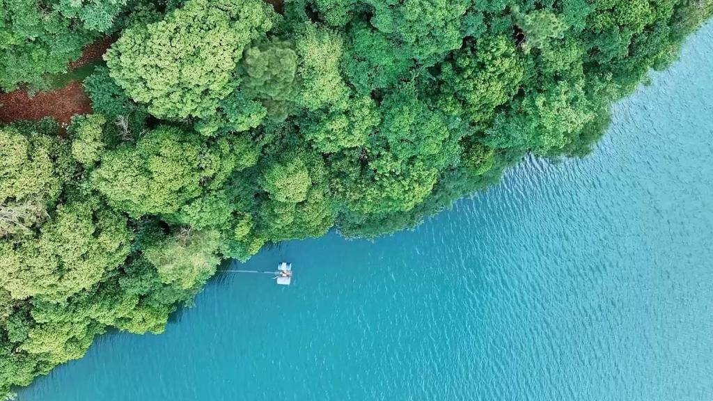 浙江长兴：桨破涟漪 邂逅水上杉林