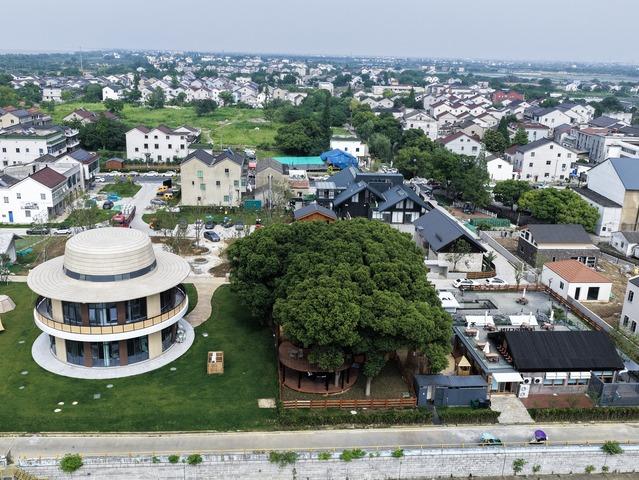 浙江湖州：深耕“两山”沃土，织密城乡共富网