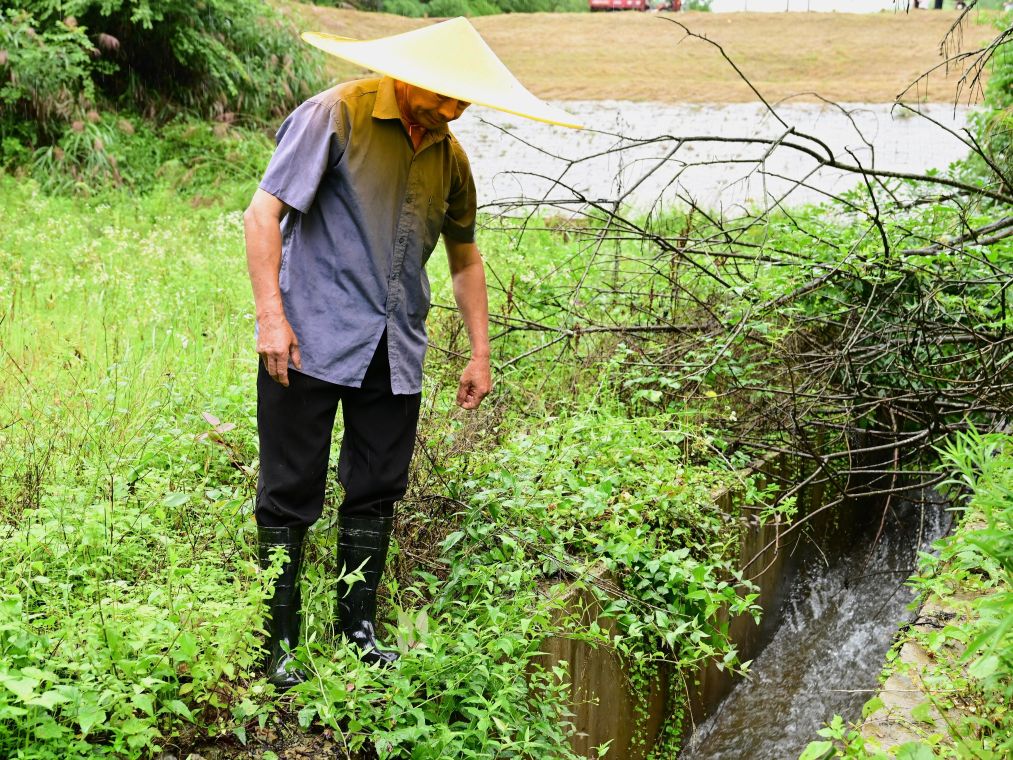 风雨同心守家园——安徽强降水防汛一线见闻