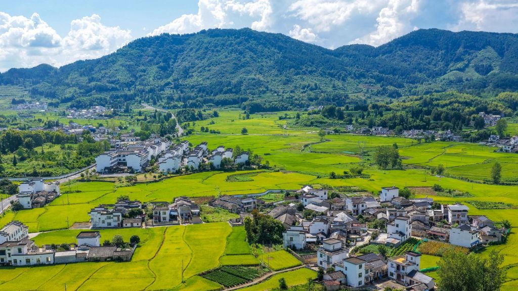安徽黟县:乡村田园风光美