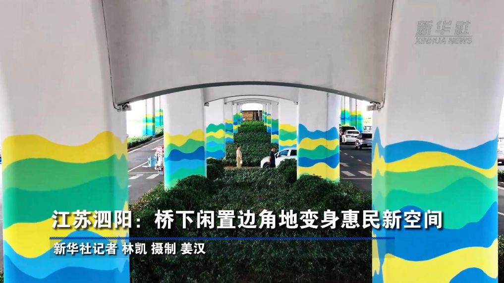 江苏泗阳：桥下闲置边角地变身惠民新空间