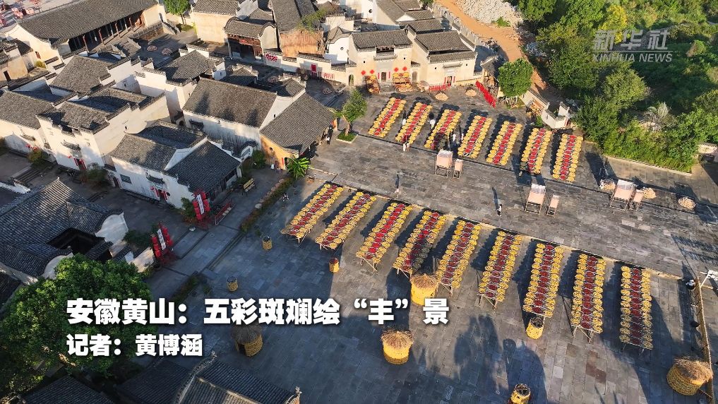 安徽黄山：五彩斑斓绘“丰”景