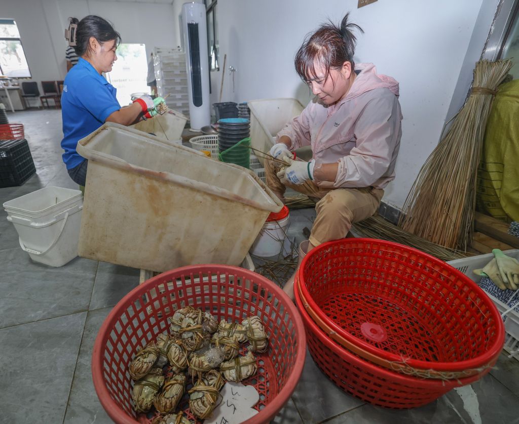 浙江湖州：太湖蟹迎来丰收季