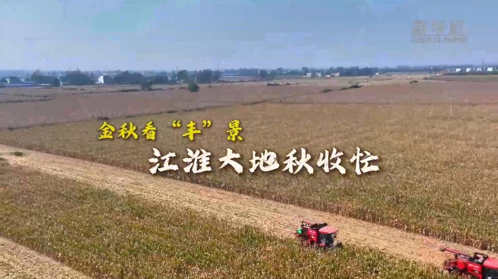 金秋看“丰”景｜江淮大地秋收忙