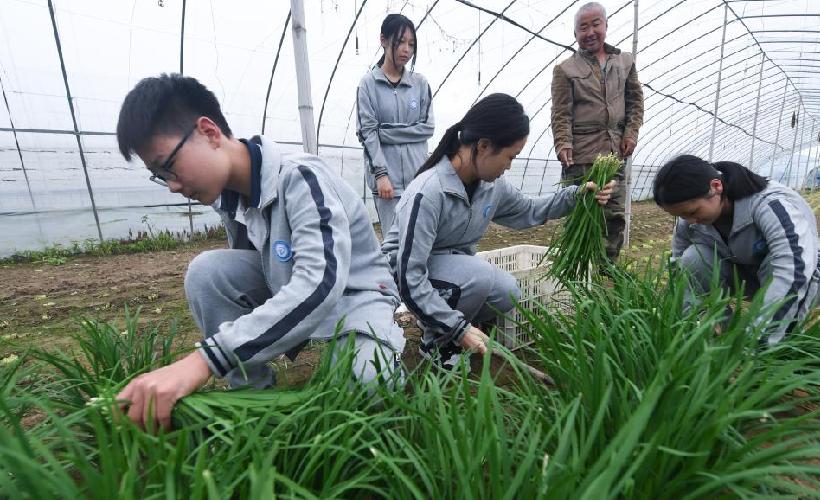 浙江湖州：校園開設多樣化勞動實踐課程