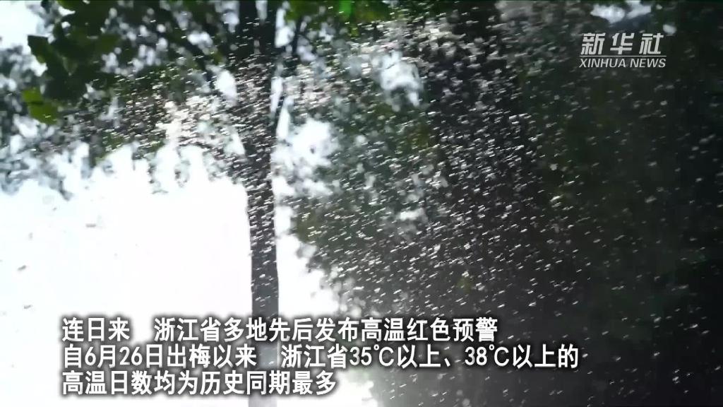 新华全媒+｜浙江长兴为三千多棵古银杏树“淋浴”降温