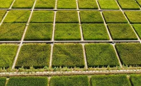 安徽：高標準農田建設財政投入標準逐步提高