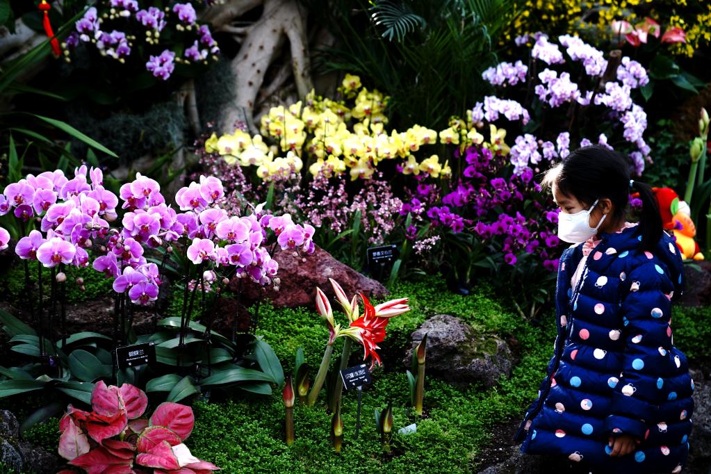 上海辰山植物园举办迎春花卉展