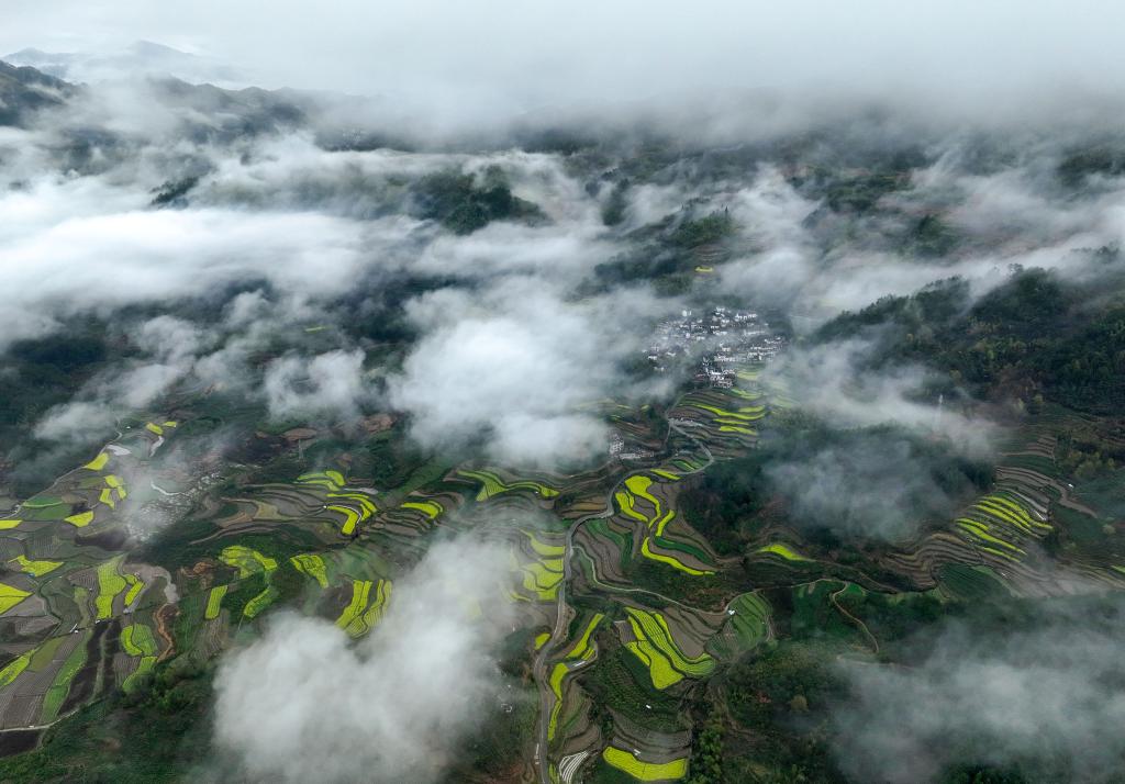 安徽黄山：雨后古村春色美