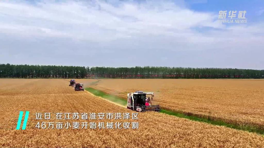 江蘇洪澤：旱能澆 澇能排 高標準農田確保汛期安全
