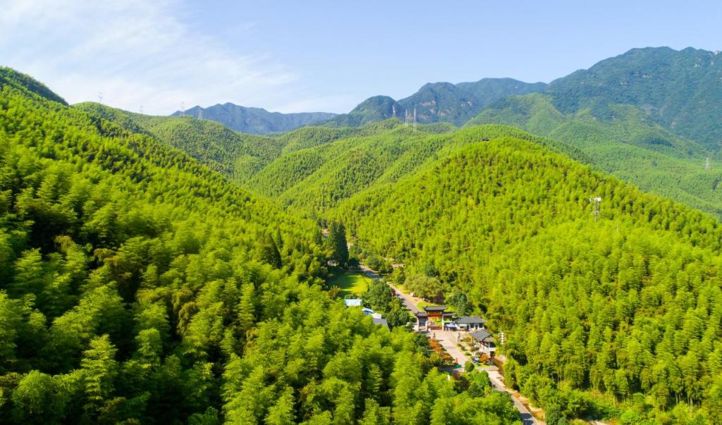 浙江安吉:演绎山区小县的国际化故事-新华网长三角频道