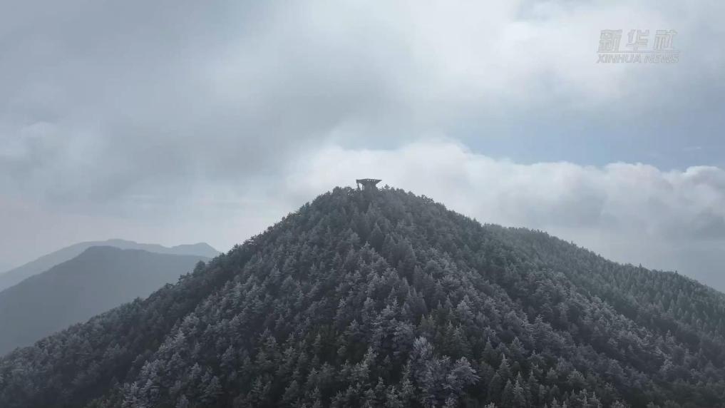 浙江文成:冬日凝霜华 雾凇扮群山