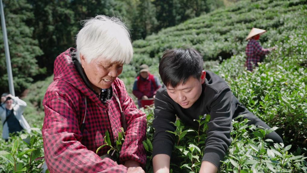 浙江浦江：青年返乡 乡村变样