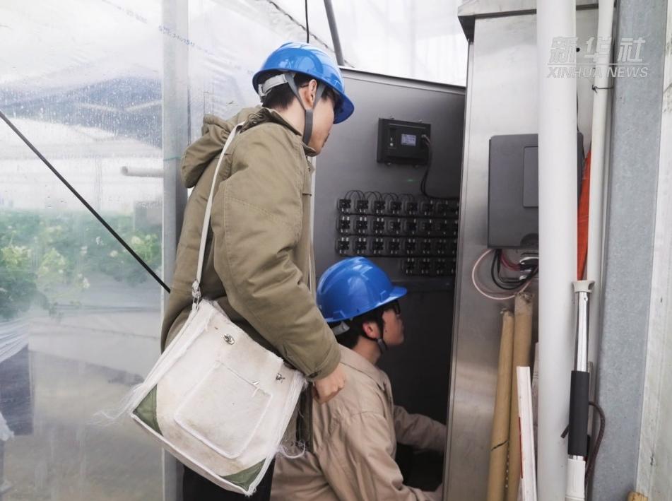 江苏常州：积极应对寒潮，全力守护市民的“菜篮子”