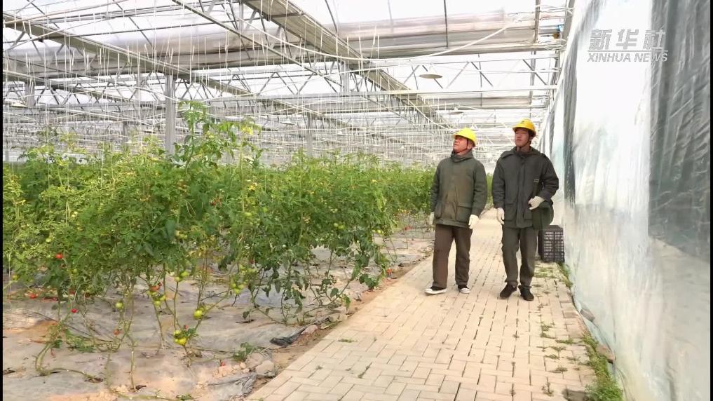 浙江台州：多措并举应对寒潮天气