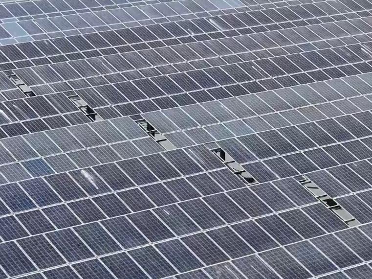 浙江嘉兴：“渔光互补”点亮民生幸福年