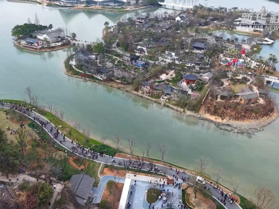 筑基生态 万物生长——从“浙江之窗”看“中国之智”“中国之美”