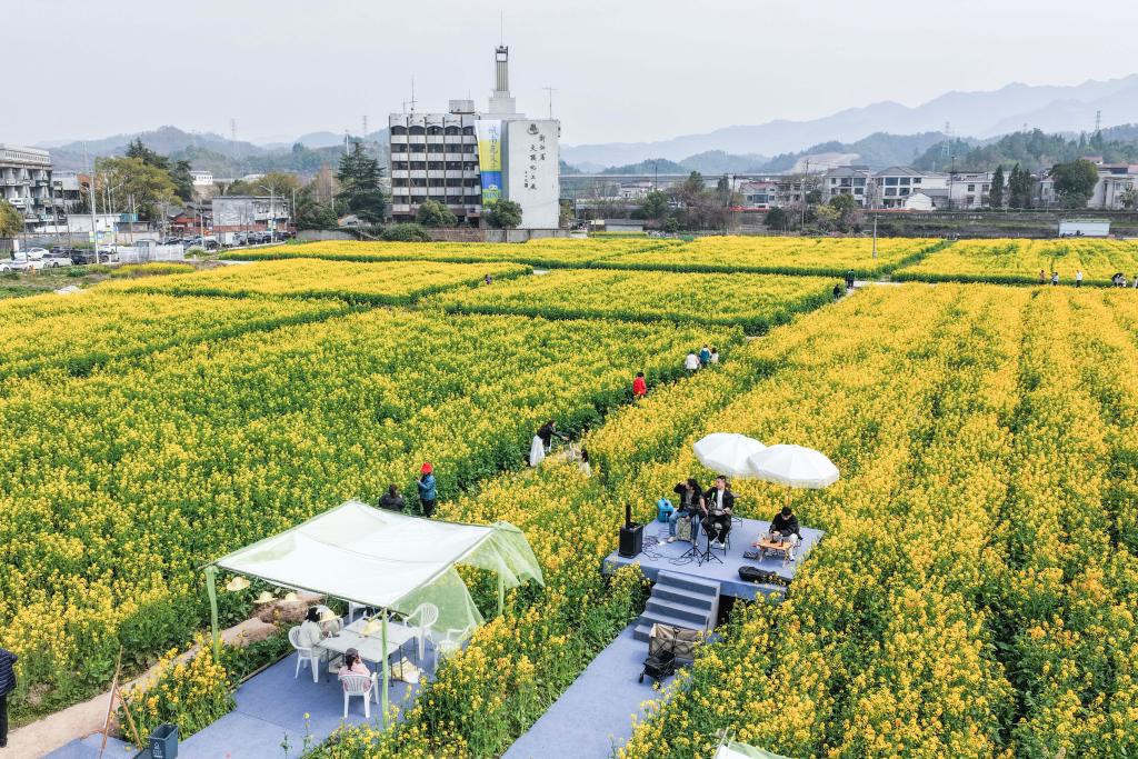 浙江建德：“以花为媒”释放“春日经济”消费新活力