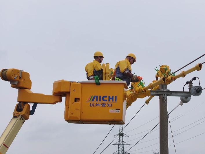 浙江嘉兴:抢抓春检窗口期 加快推进配网自动化建设