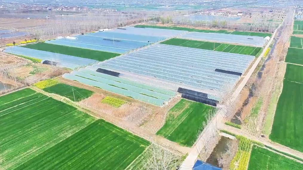 江苏淮安：数据成为新农资 手机成为新农具