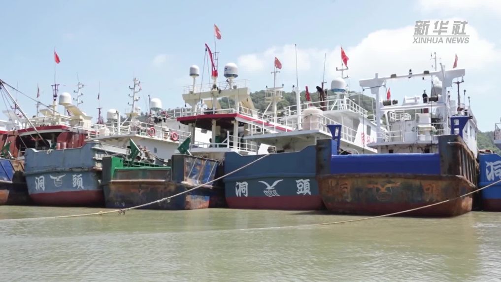 防御台风“巴威” 浙江洞头494艘渔船全部归港