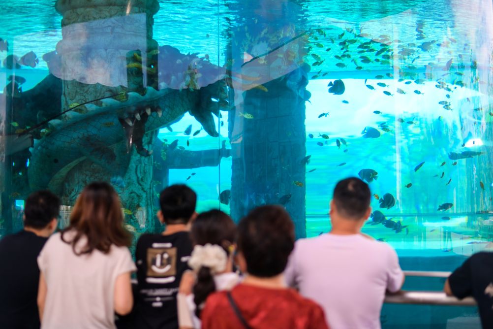 浙江桐庐：交旅融合 服务区变身“海底世界”