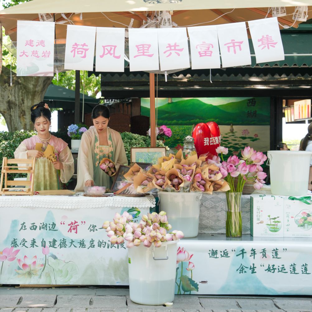 清爽一夏｜“绕郭荷花”今更盛，杭州兴起“荷花热”