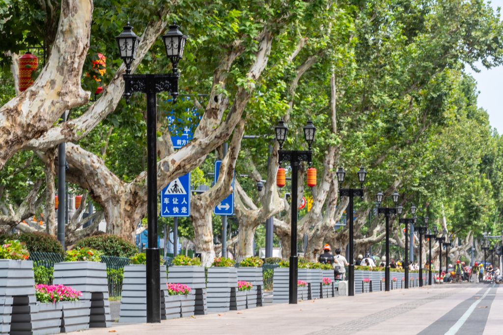 南京长江路文博街区即将开街 文博月系列活动精彩纷呈